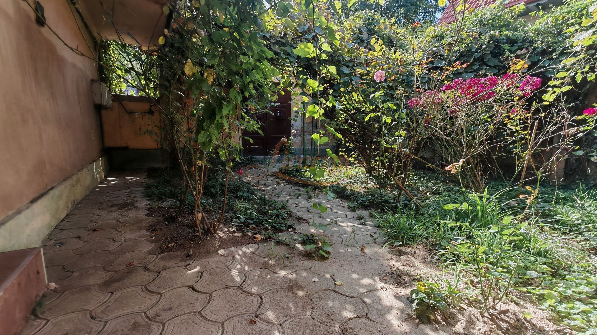 Casa singur in curte zona ZONA ISTORICA langa Seminarul Teologic - imaginea 11