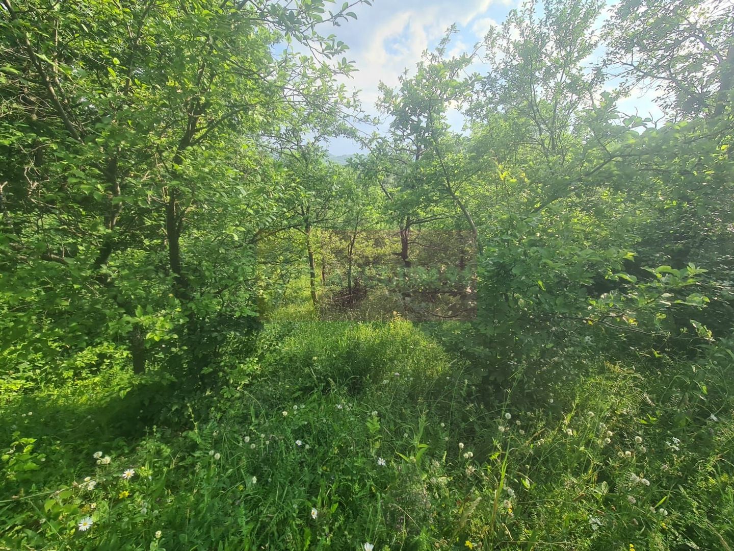 Vila de vanzare cu 6 camere in Cornu (teren 6.600 mp)