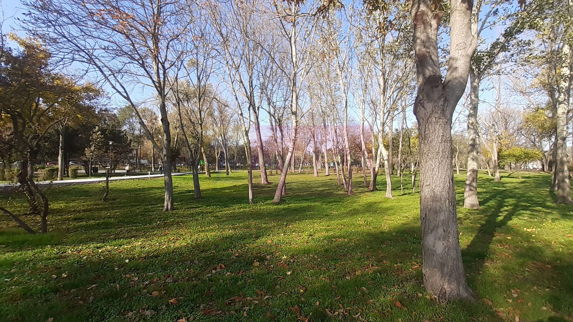 Apartament 4 Camere Constanța Tomis Nord