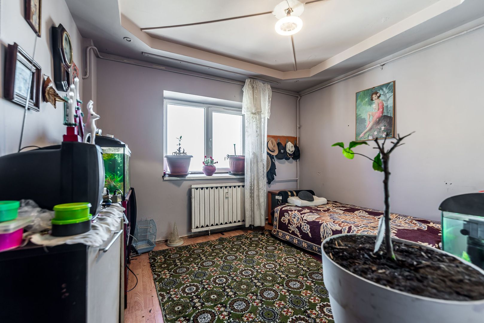 Imagine 11 - Apartament cu 5 camere pe Splaiul General Gheorghe Magheru, Micălaca