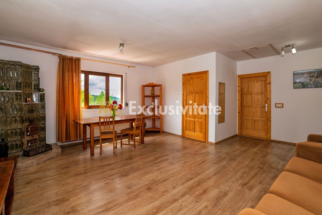 Casa moderna si casa bunicii + 6300 mp teren,Oaza autentica in Corbi Arges- - imaginea 5