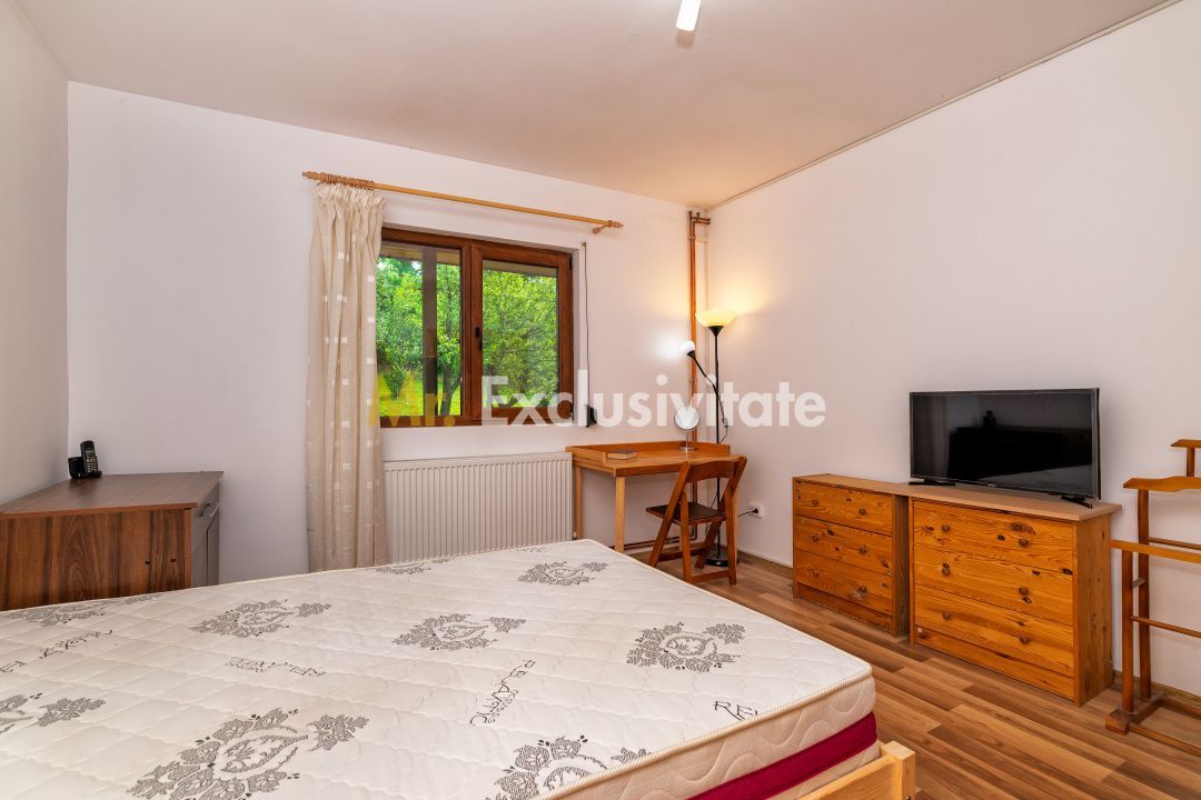 Casa moderna si casa bunicii + 6300 mp teren,Oaza autentica in Corbi Arges- - imaginea 13