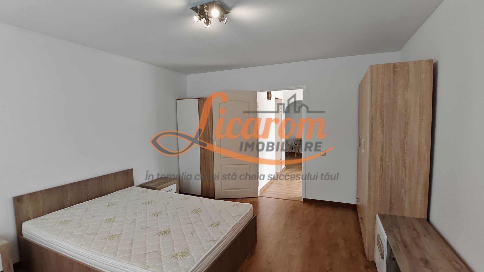 Casa traditionala singur in curte SANPETRU recent amenajata - imaginea 7