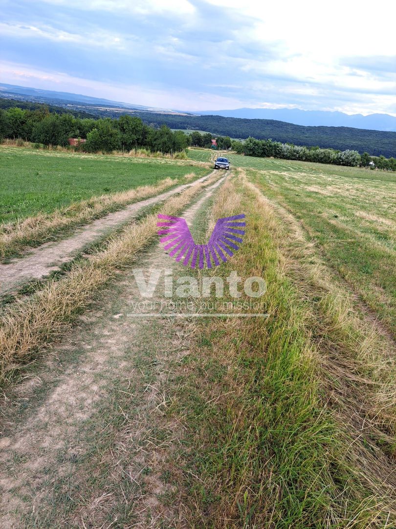 Oportunitate-Teren Extravilan 6200 mp cu vedere Panoramica-Tropinii Noi-Rasinari