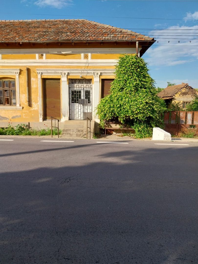 Casa 205 mp | Teren 2.379 mp | Potential comercial | Acces direct DN - imaginea 3
