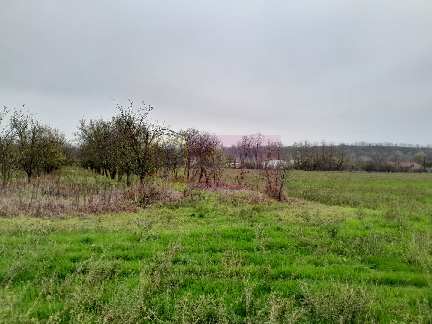 De vanzare casa +teren 16k mp in BARCANESTI / IL