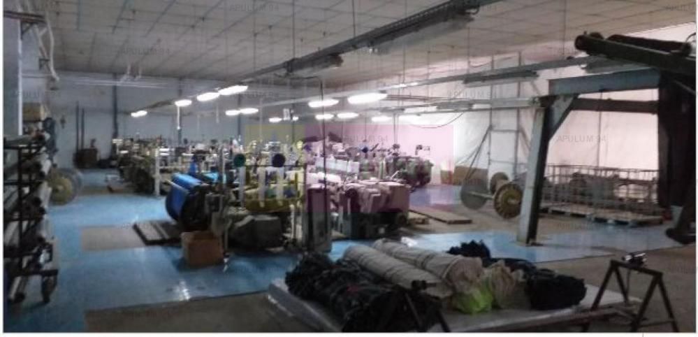 Hala productie 23 August.