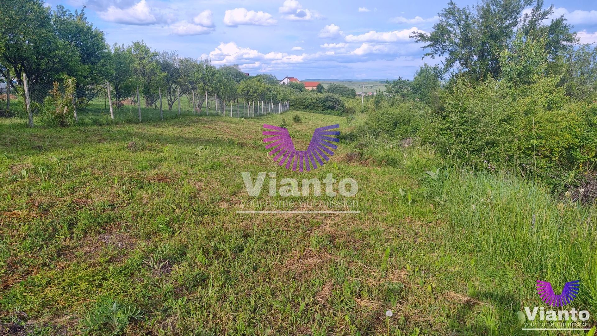 Teren Intravilan 1000mp-Zona Daia