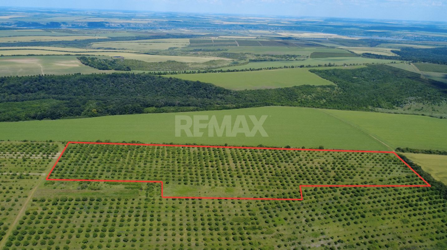 Teren Agricol, 11 HA, Bulăiești, Orhei - imaginea 2