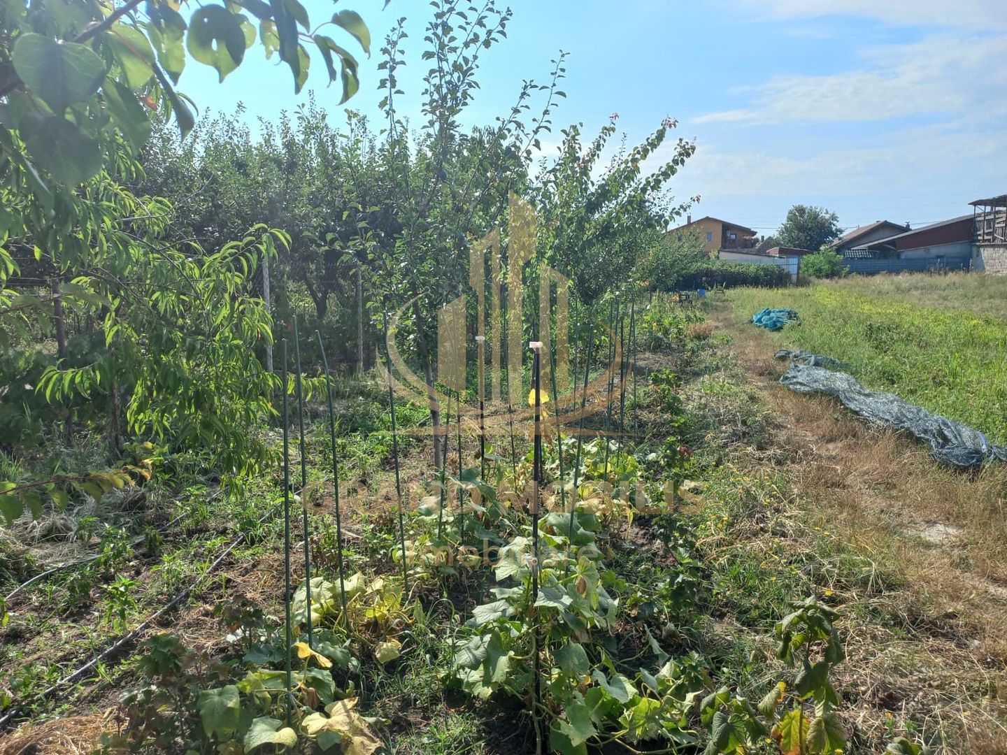 Casă individuală Plopi, 75 mp, teren 1.365 mp, 2 corpuri - imaginea 10