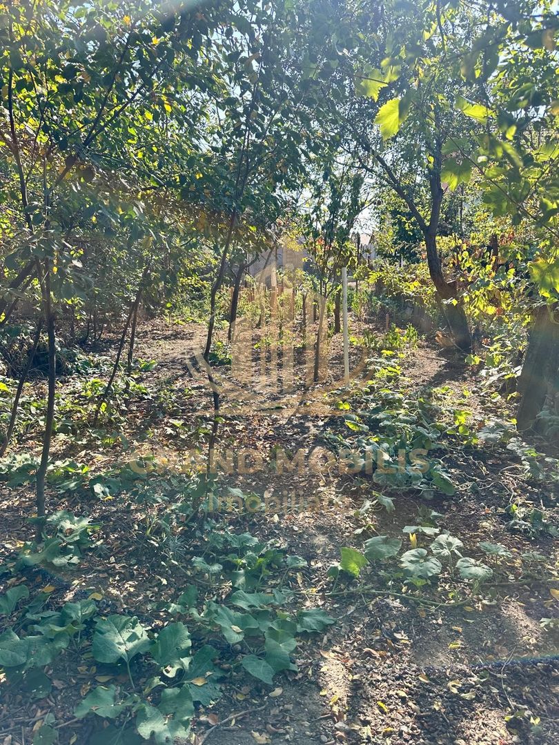 Casă individuală Plopi, 60 mp utili, teren 477 mp, necesită renovare - imaginea 7