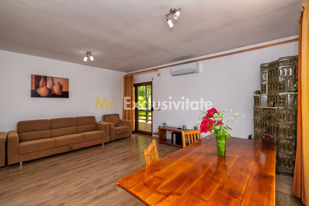 Casa moderna si casa bunicii + 6300 mp teren,Oaza autentica in Corbi Arges- - imaginea 11
