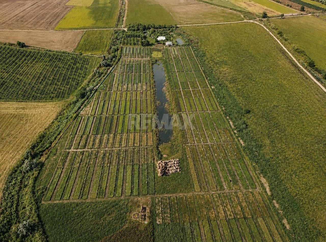 Teren agricol de vânzare – 6,8 hectare cu lac propriu și casă, Nisporeni