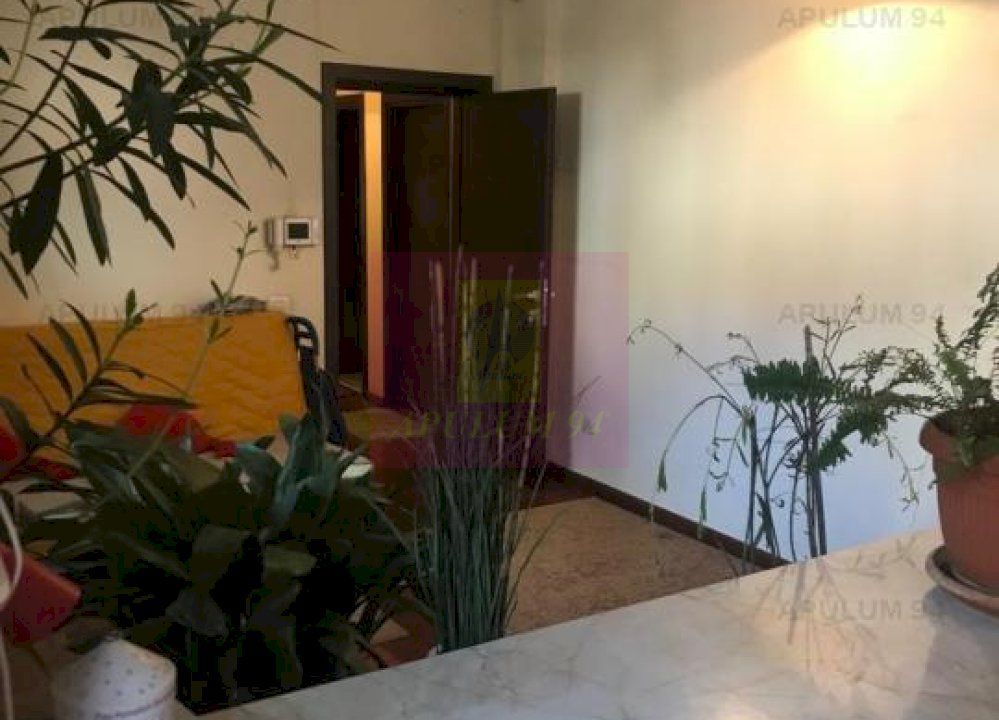 Vila Floreasca- Barbu Vacarescu- stradal. - imaginea 20
