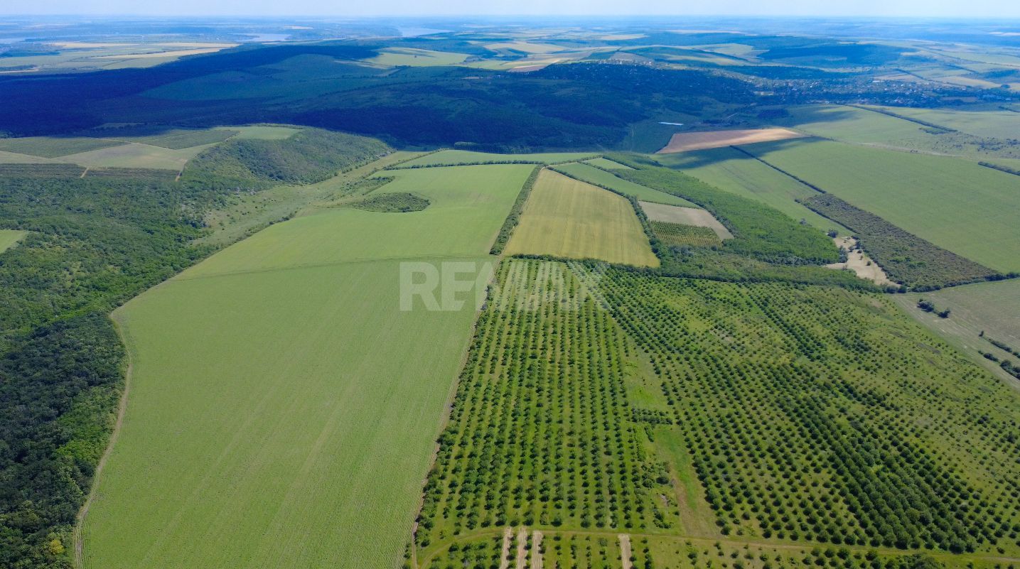 Teren Agricol, 11 HA, Bulăiești, Orhei - imaginea 7