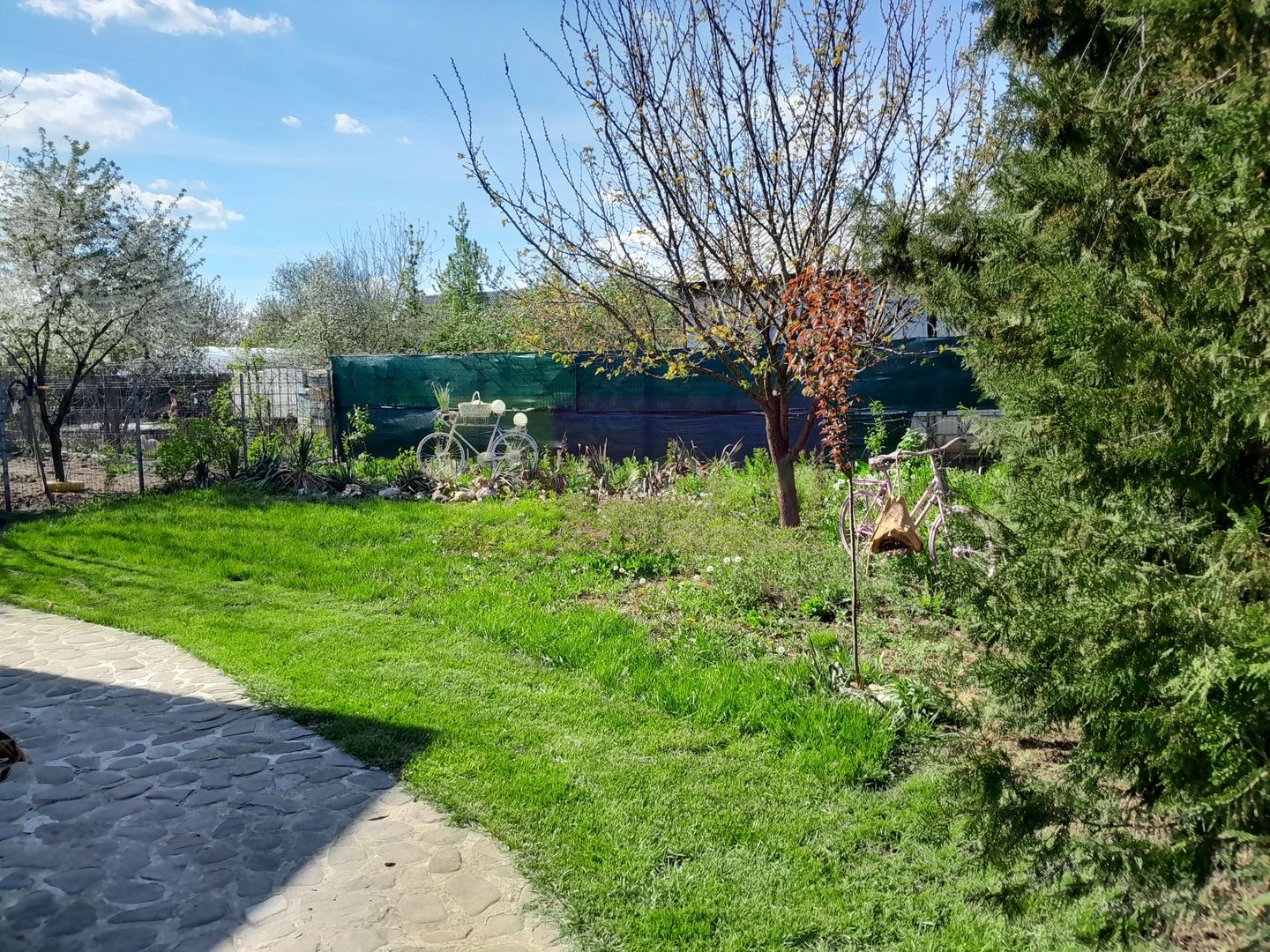 DE VANARE CASA P+M 5 CAM  GIURGIU