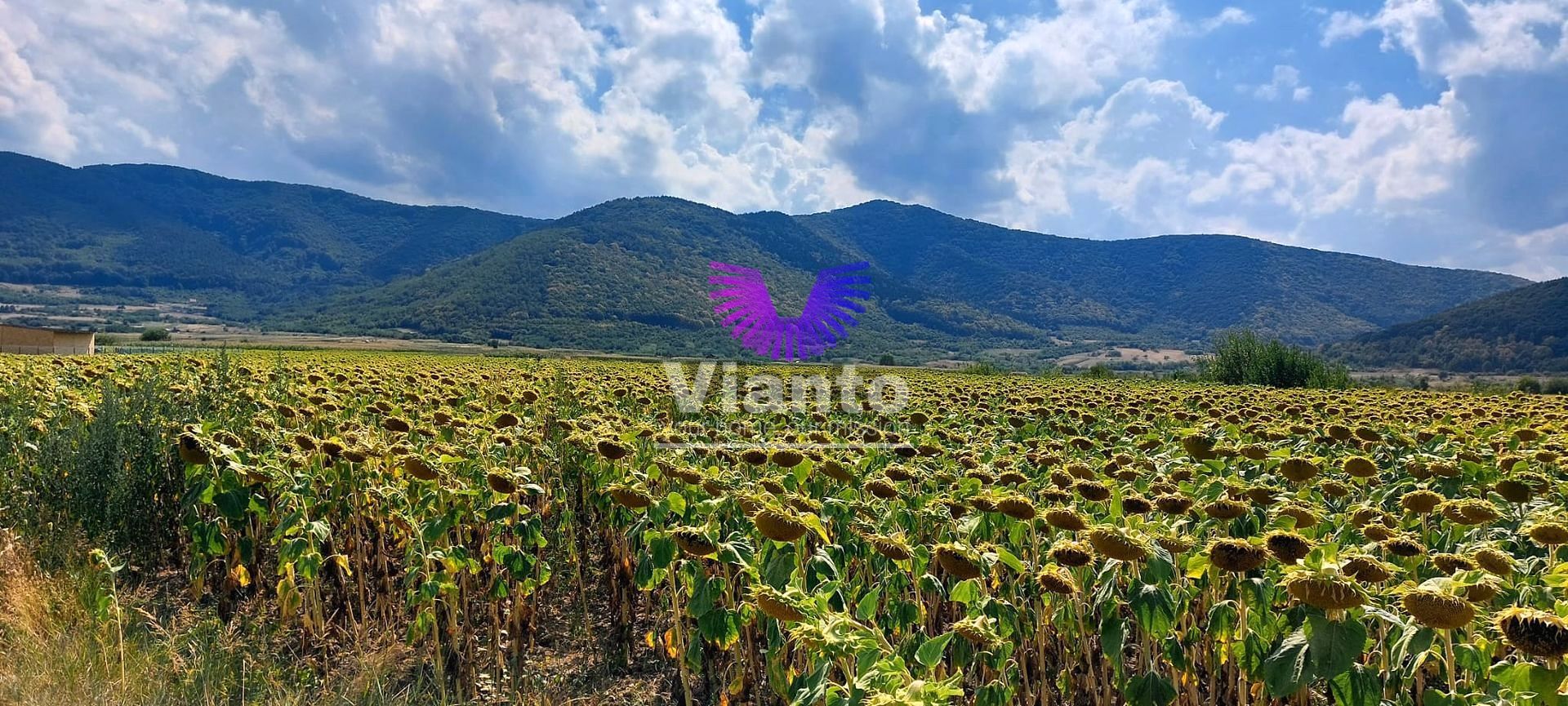 Teren Extravilan 900mp - Poplaca