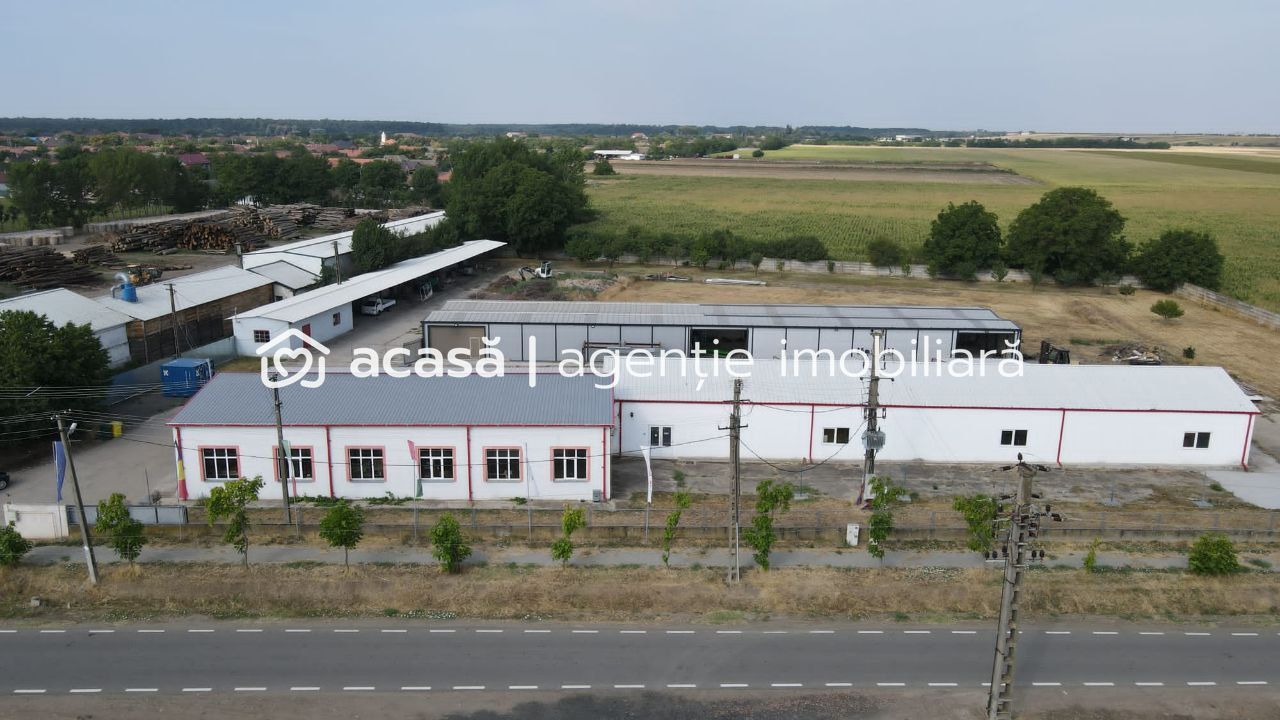 Hale depozitare/producție 2.000 mp si 10.000 mp teren în Pecica