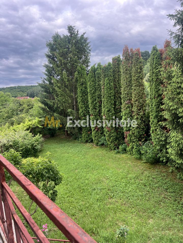 De Vanzare SAU inchiriat Casă BASCOV - Județ Arges la 5 min de Pitesti - imaginea 6