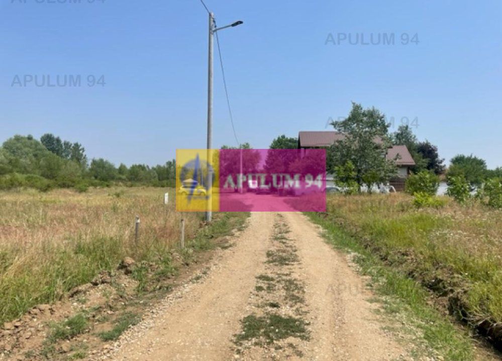 Teren Domnesti- Ciutaci.