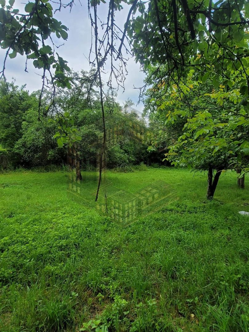 Casa individuala, renovata, teren 5 ha, Glodghilesti, Hunedoara - imaginea 9