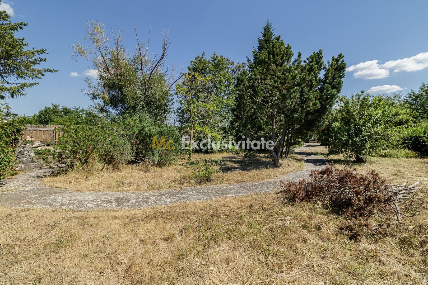 Domeniu privat 5.000 mp, cu reședință de 625 mp și piscină, Corbeanca - imaginea 41
