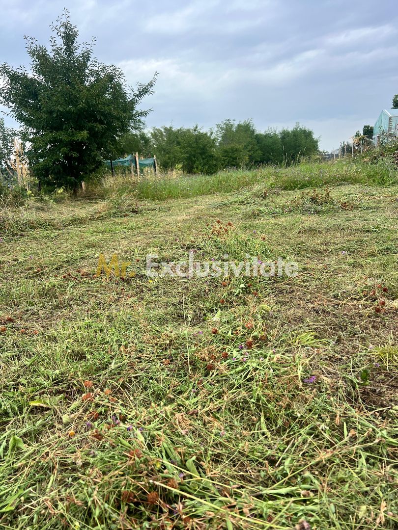 Teren intravilan în Băbana 1575 mp intravilan - imaginea 4