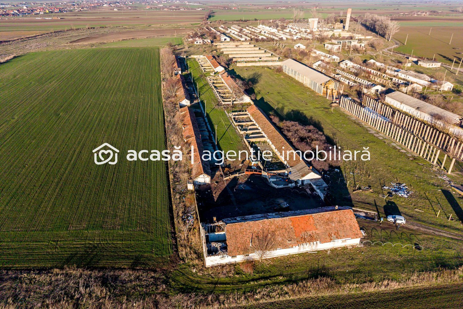 Imagine 4 - NĂDLAC | Teren 1.15 HA lângă Autostradă | 2.500mp Hale
