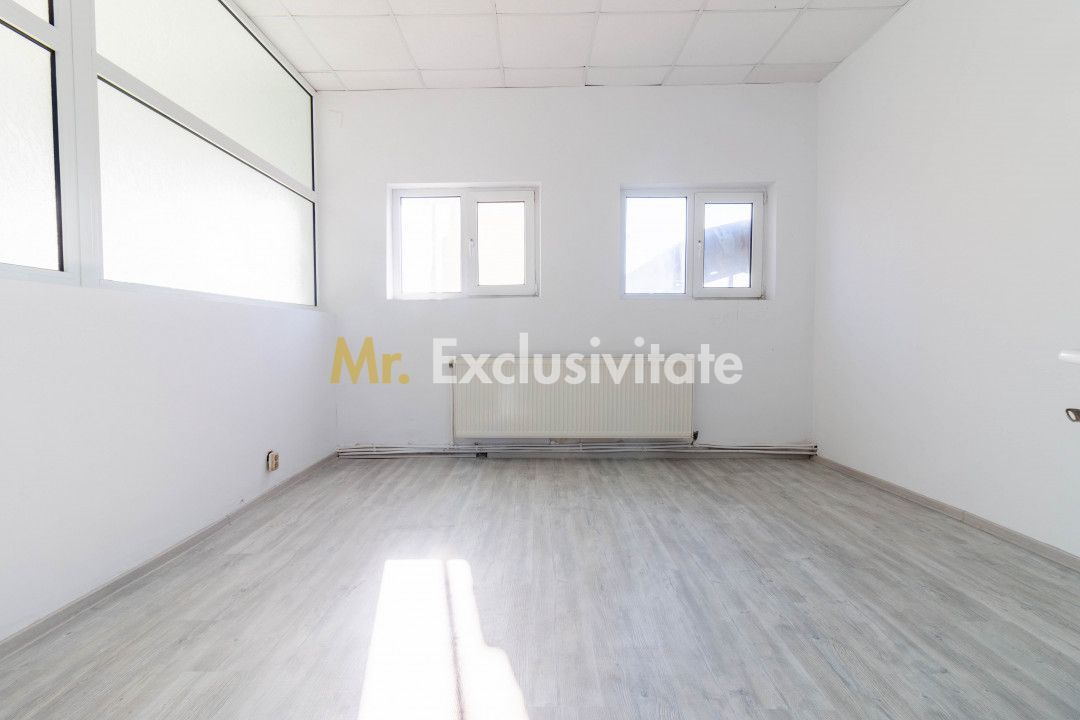 Hala industrial-comerciala Căteasca, Argeș | 12.600 mp teren - imaginea 3