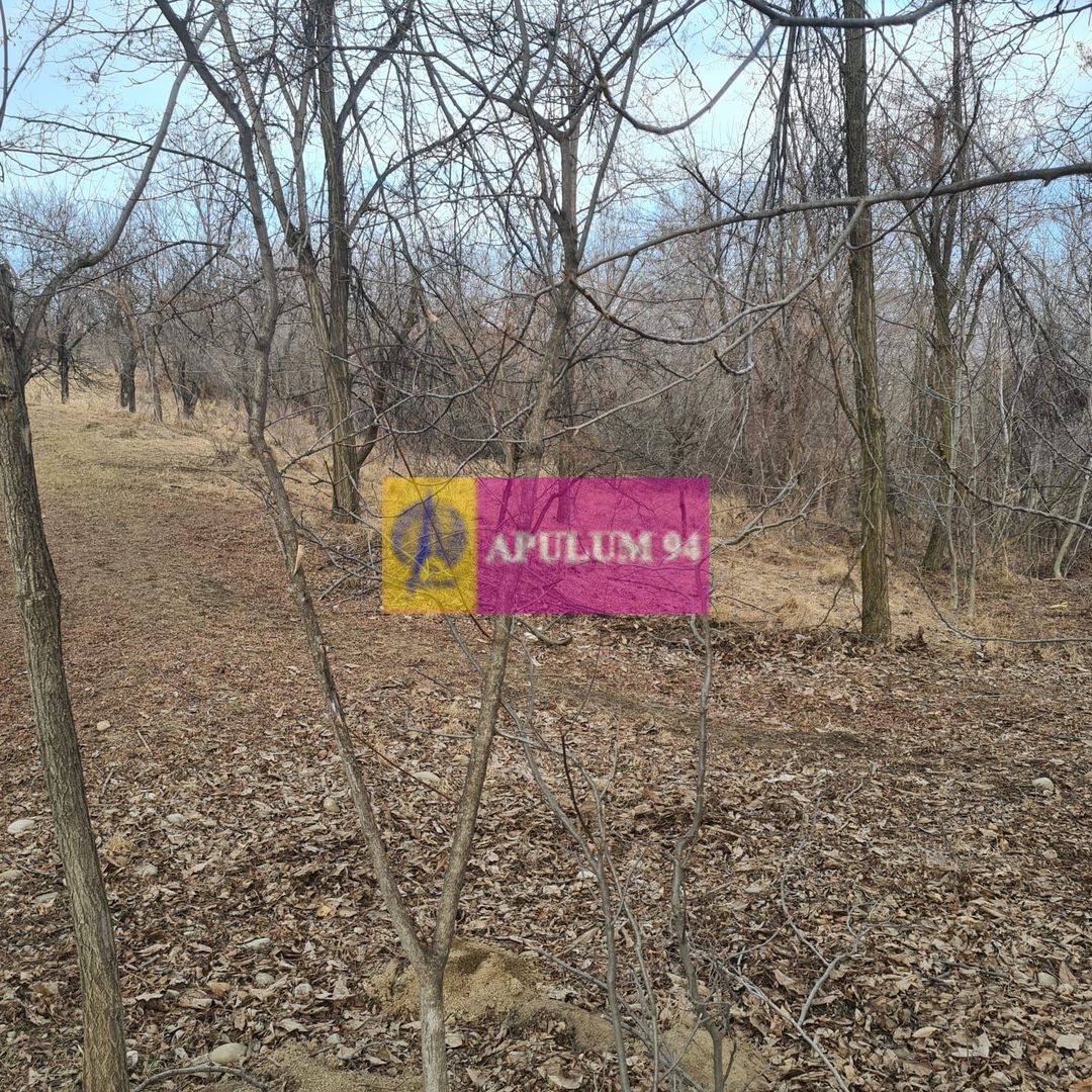 Teren intravilan de vanzare in Cornu de Jos