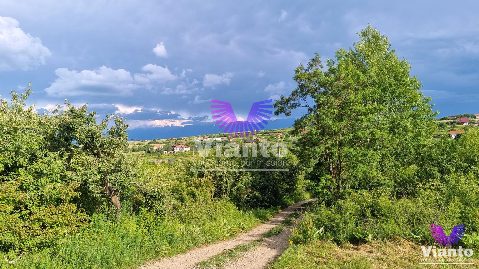 Teren Intravilan 1000mp-Zona Daia