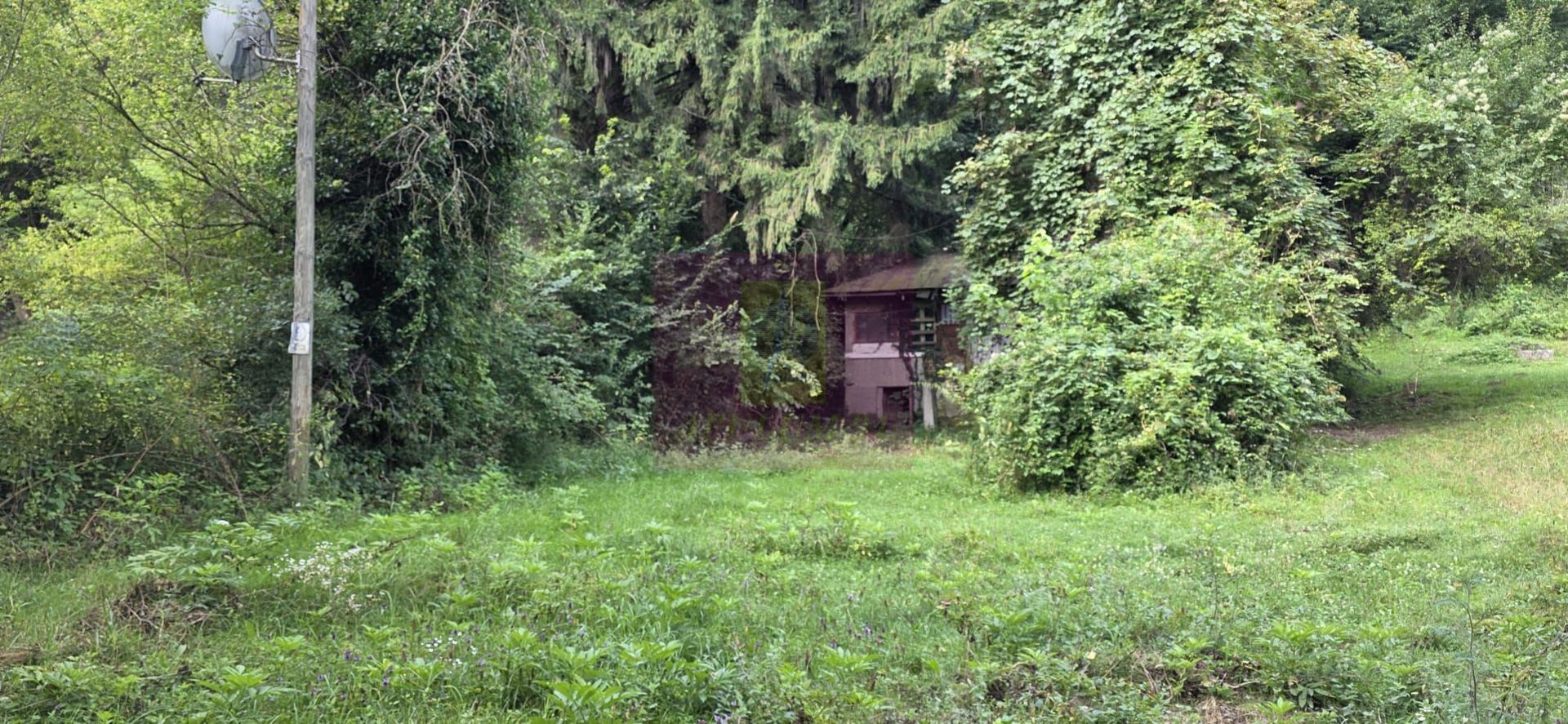 Teren de vanzare 15.000 mp in Telega - imaginea 10