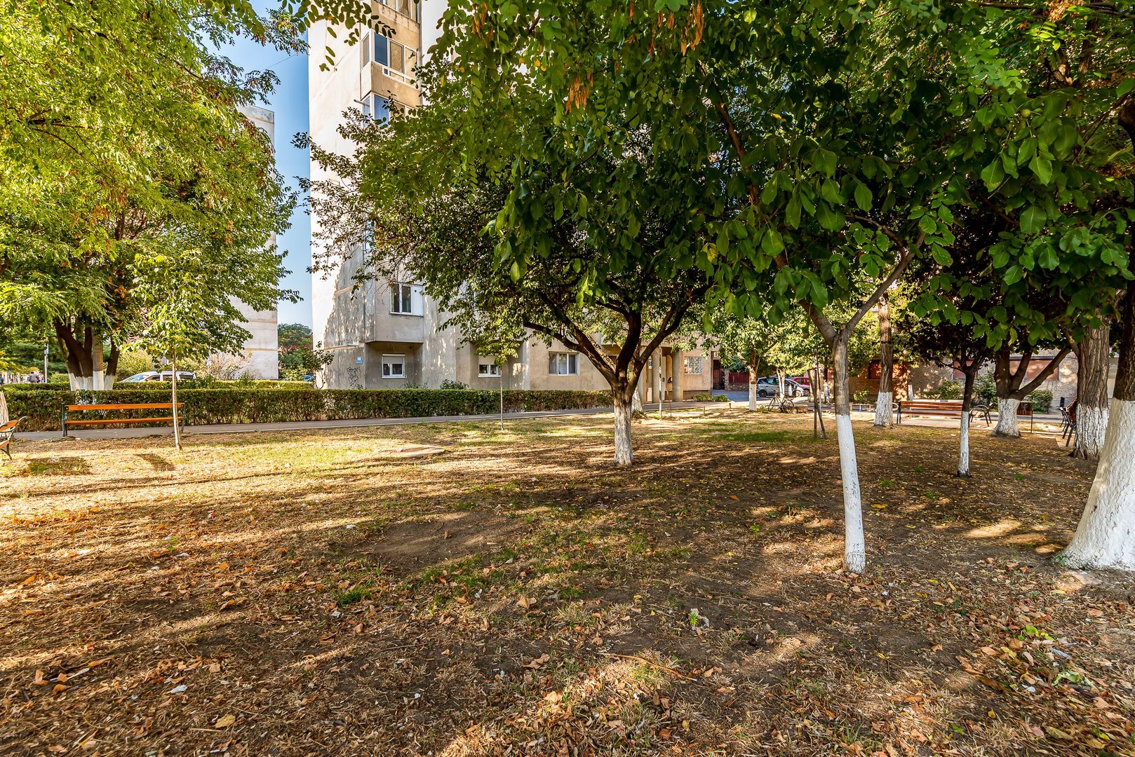 Imagine 13 - 🏡 3 camere, 2 băi, parter – Aurel Vlaicu | 79.000 €