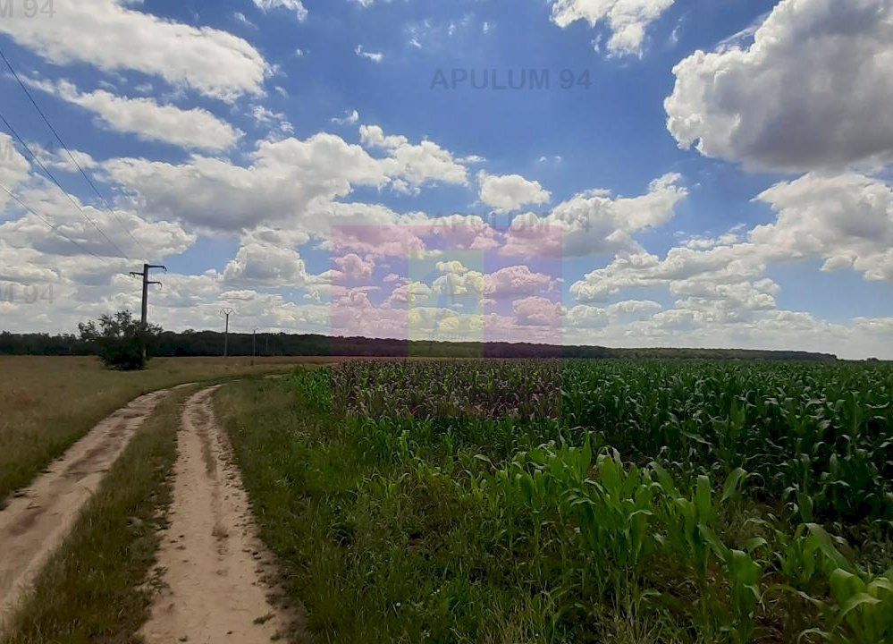 Teren 715mp în Snagov lângă Equestria - imaginea 5