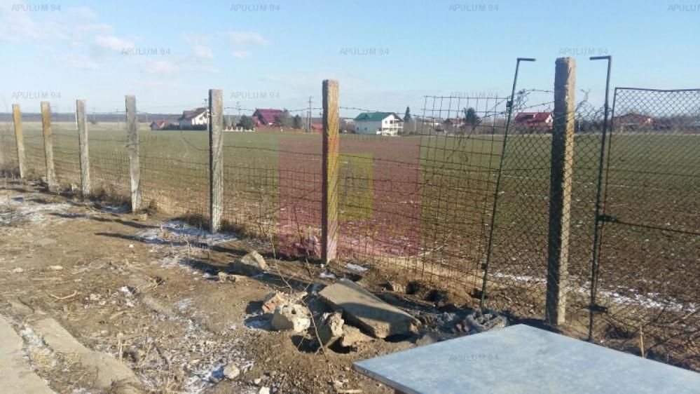 Teren Balotesti- Saftica- ideal pentru constructie locuinte. - imaginea 5