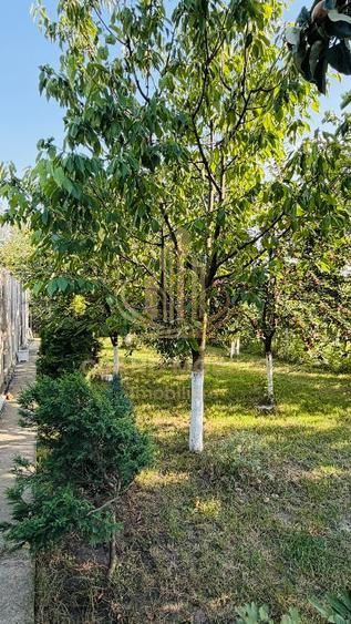 Casă individuală Bogdăneștilor, 4 camere, 100 mp, 2 corpuri, 425 mp - imaginea 8