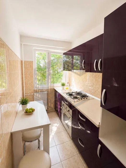 Apartament cu 2 camere, renovat, de vanzare, zona Sagului - imaginea 6