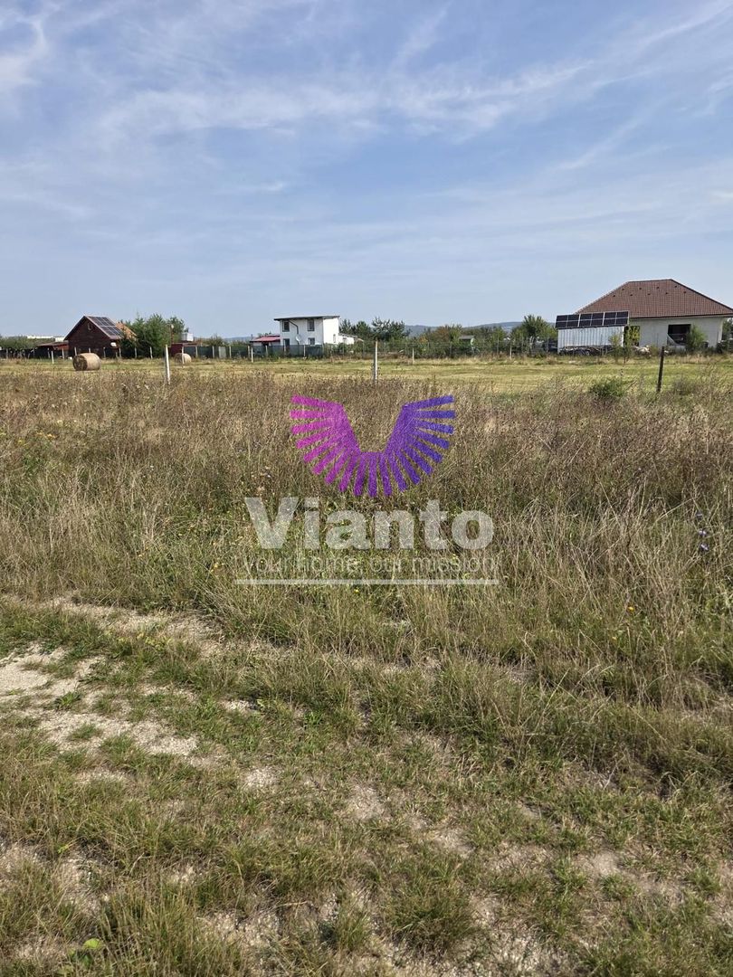 Teren extravilan 1500 mp Selimbar-langa troita