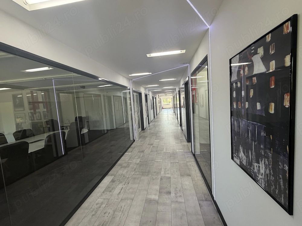 Hala P+1 cu birouri, depozit si teren 2.641 mp de vanzare Timisoara - imaginea 4