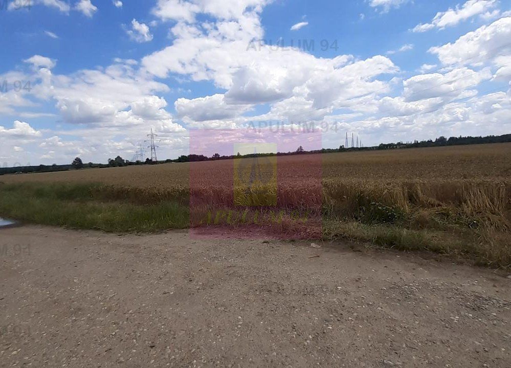 Teren 715mp în Snagov lângă Equestria - imaginea 7
