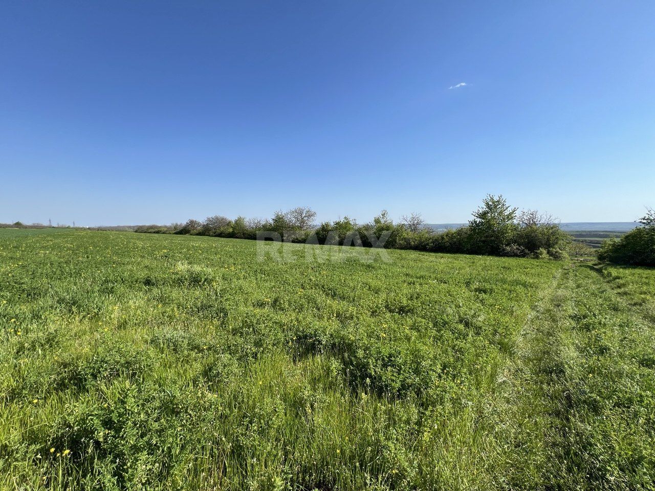 Teren agricol de 40 ari în Ghidighici – oportunitate pentru investiție sau activitate agricolă - imaginea 5