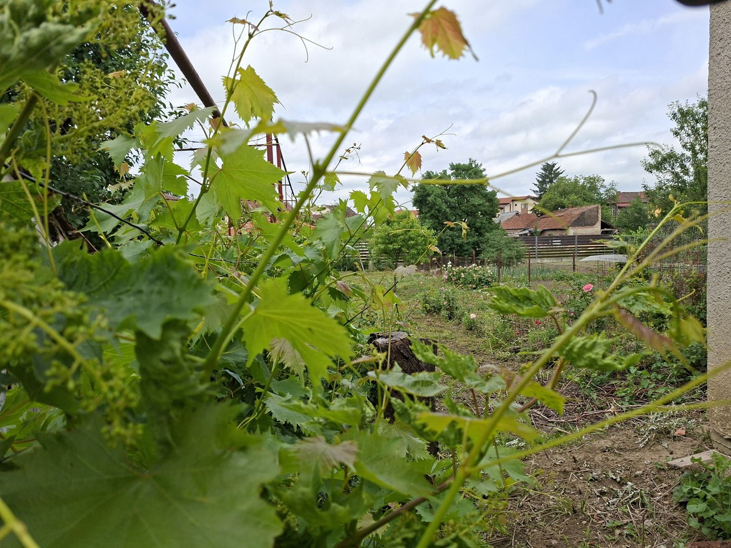 BRASADAS vinde casa individuala 8 cam 8.6a zona Baritiu. - imaginea 22
