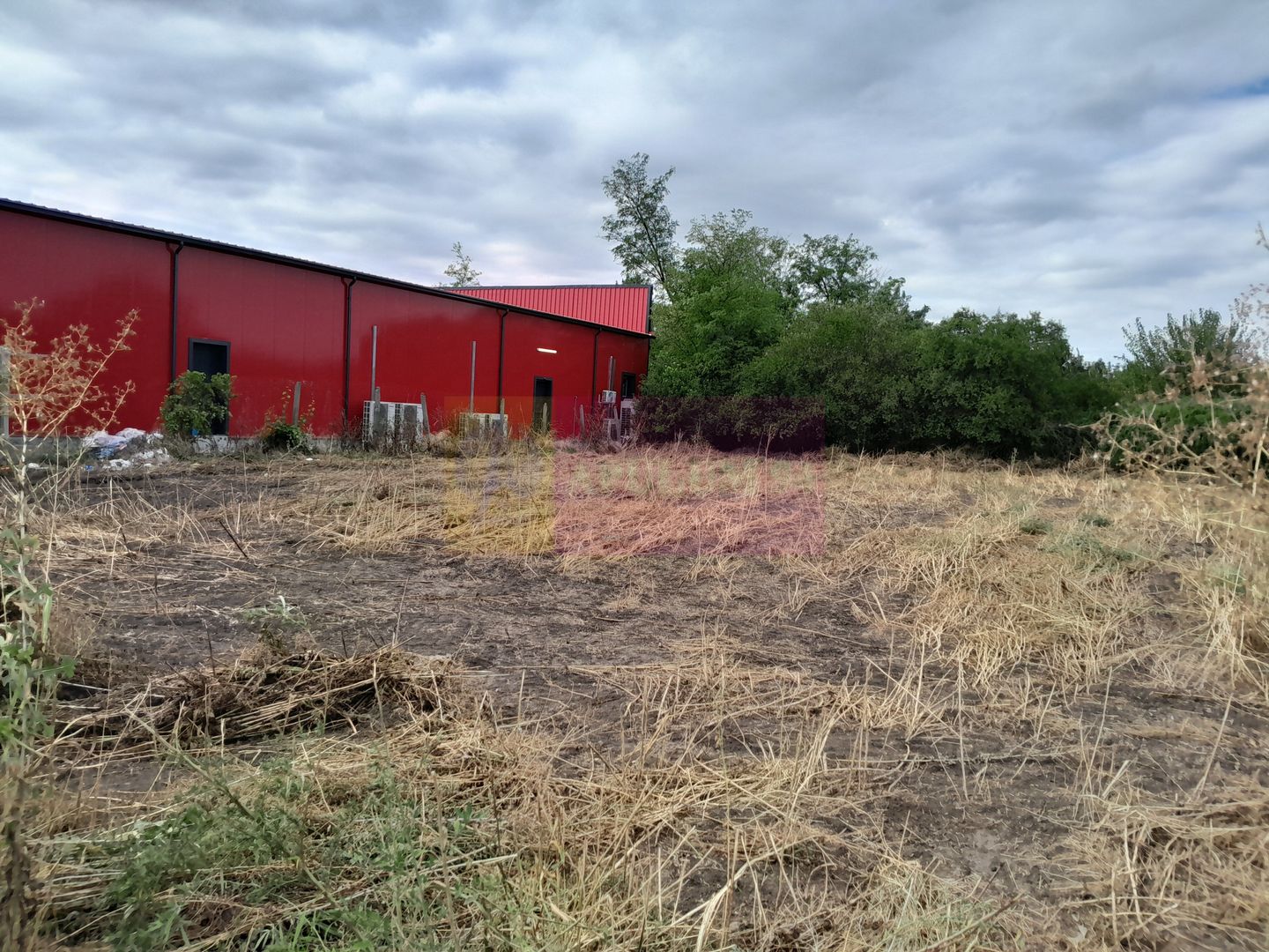 Movilita (IL)-teren de inch. 1800 mp stradal, 30 ml desch, langa Profi