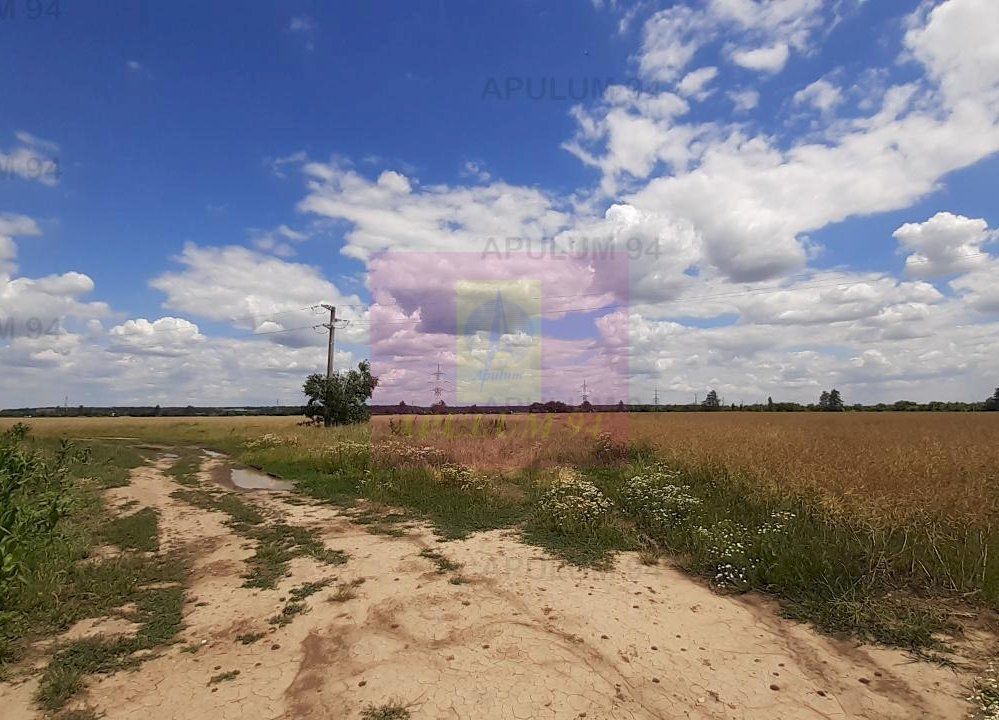 Teren 715mp în Snagov lângă Equestria - imaginea 48