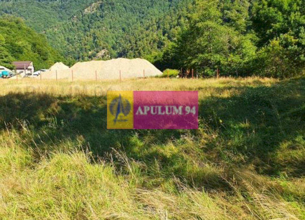 Teren Județul Vâlcea - Brezoi, Valea lui Stan