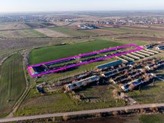 PREȚ REDUS! Ferma de 1.15 HA lângă accesul pe Autostrada  A1– Nădlac