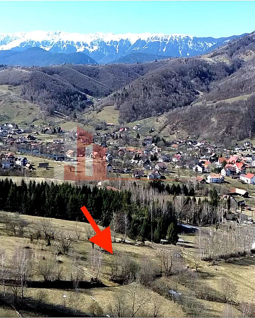 Teren Bran | 3.520 mp | Vedere Bucegi & Castelul Bran - imaginea 3