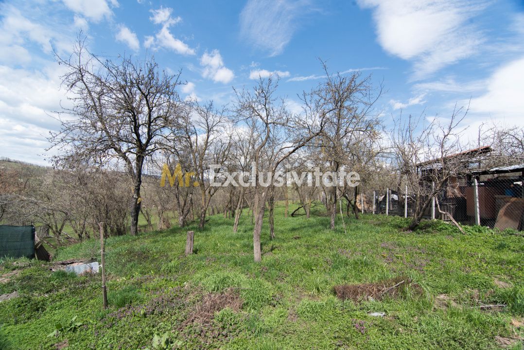 Casa gata de mutat+teren 1000 mp in Mihaesti,jud. Arges - imaginea 15