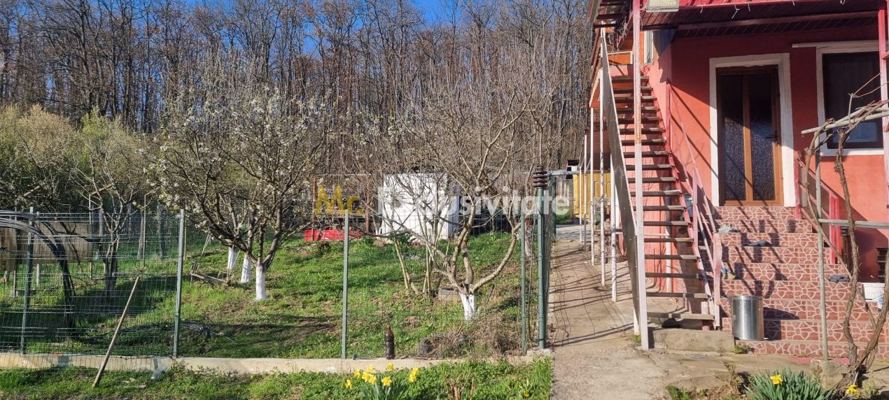 Casă P+M cu 1.558 mp teren, livadă și garaj - imaginea 12