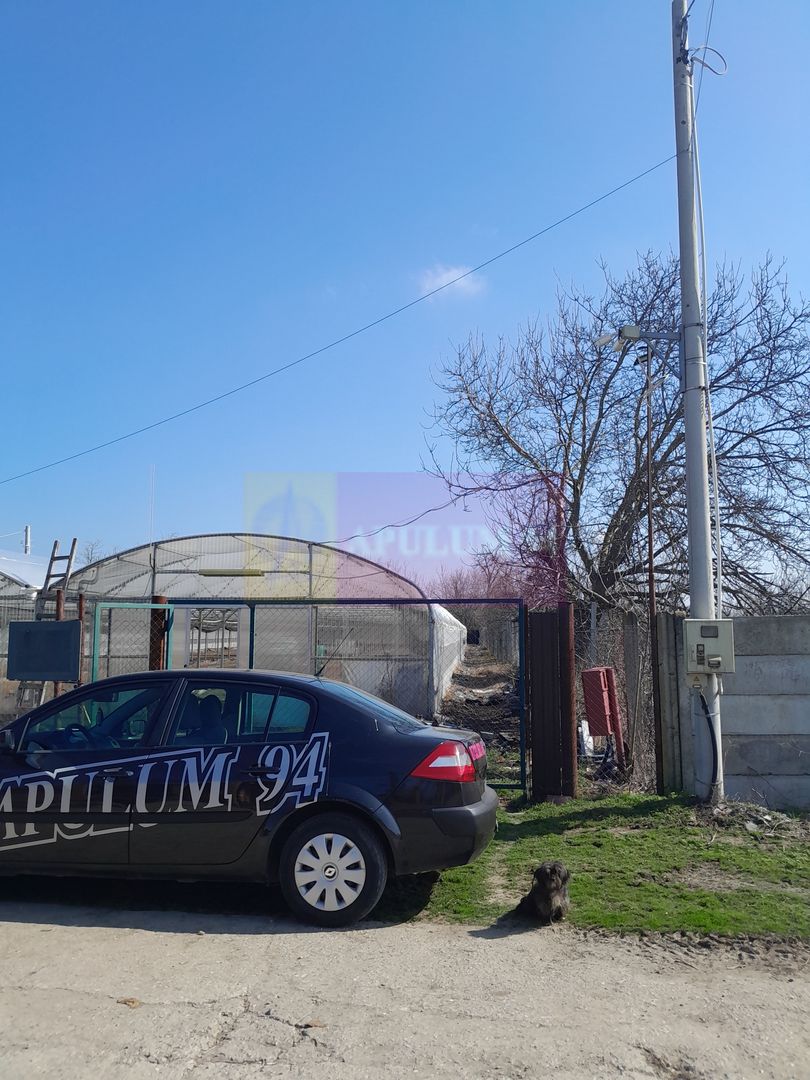 VANZARE TEREN 3100 MP - SAT ROSIORI (IL)